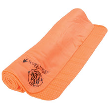 Load image into Gallery viewer, Frogg Toggs Chilly Pad Towel