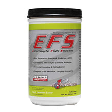 Load image into Gallery viewer, 1St Endurance, Efs, 800G, Drink Mix