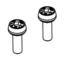 Load image into Gallery viewer, Campagnolo Front Caliper Mounting Screws Pair Ec-Db008
