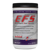 Load image into Gallery viewer, 1St Endurance, Efs, 800G, Drink Mix
