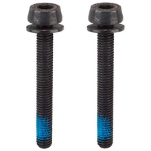 Load image into Gallery viewer, Campagnolo Rear Caliper Mounting Screws
