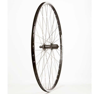 Wheel Shop Alex Ace19 Black/ Shimano Acera Fh-T3000, Wheel, Rear, 29'' / 622, Holes: 36, Qr, 135Mm, Rim, Shimano Hg