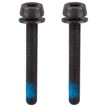 Load image into Gallery viewer, Campagnolo Rear Caliper Mounting Screws
